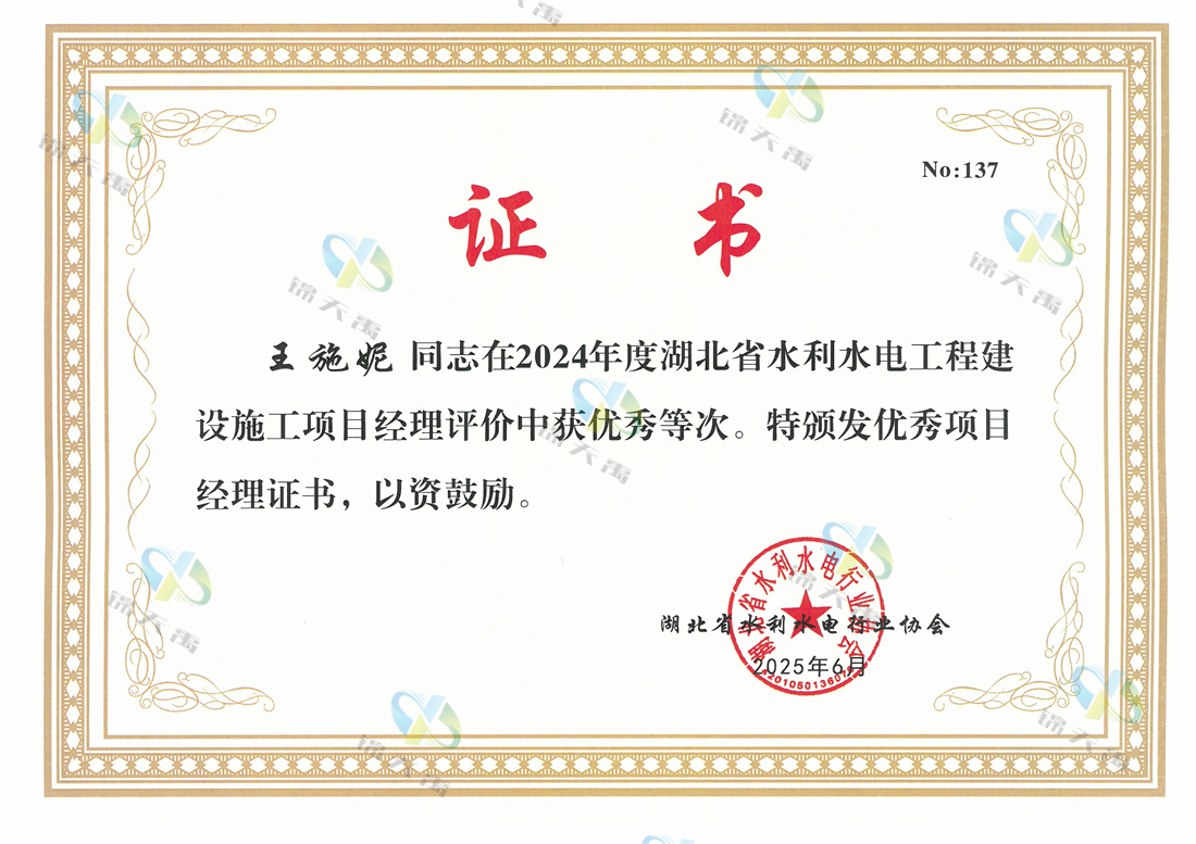 王施妮2024年度水利优秀项目经理.jpg
